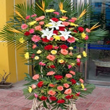 Cesto di Fiori per Apertura D