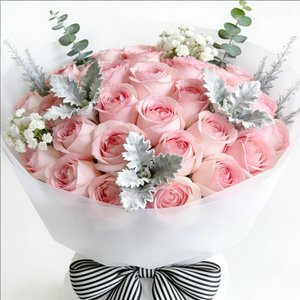 Pink Mist & Soft Feathers