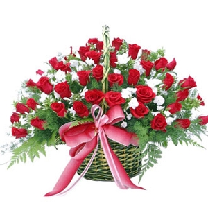 Ich Vermisse Dich Sehr