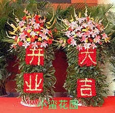 Cesto di Fiori per Apertura Lussuoso (un paio)