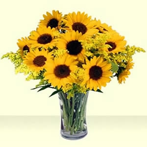 10 Sonnenblumen