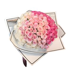 Vibrant and Colorful