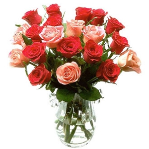 듀얼 컬러 로즈 꽃꽂이