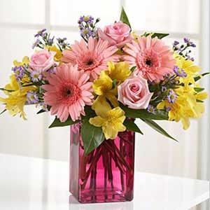 Blühen im Frühling